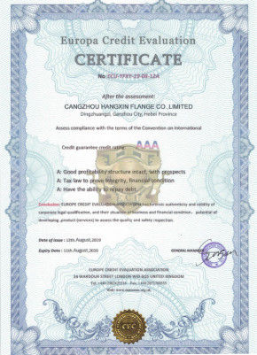 China Cangzhou Hangxin Flange Co.,Limited certificaten