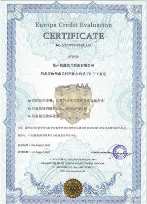 China Cangzhou Hangxin Flange Co.,Limited certificaten